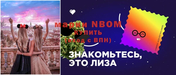 шишки Вязники