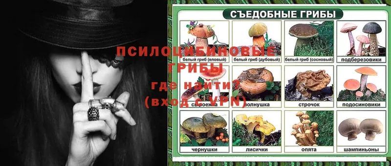 Псилоцибиновые грибы Psilocybine cubensis  МЕГА маркетплейс  Брянск 